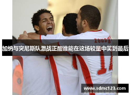 加纳与突尼斯队激战正酣谁能在这场较量中笑到最后