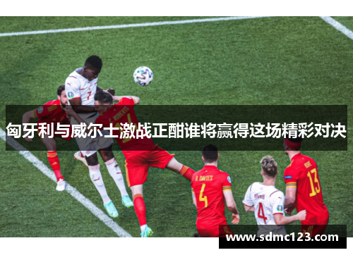 匈牙利与威尔士激战正酣谁将赢得这场精彩对决