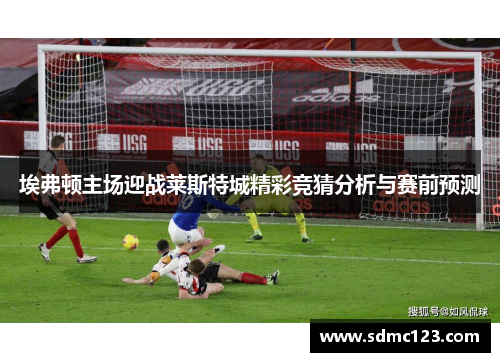 埃弗顿主场迎战莱斯特城精彩竞猜分析与赛前预测