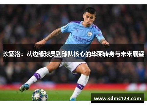 坎塞洛：从边缘球员到球队核心的华丽转身与未来展望