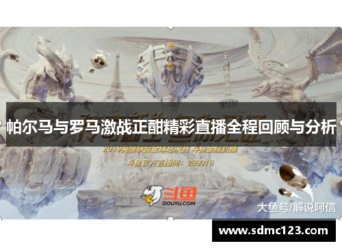 帕尔马与罗马激战正酣精彩直播全程回顾与分析