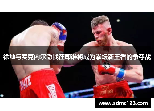 徐灿与麦克内尔激战在即谁将成为拳坛新王者的争夺战